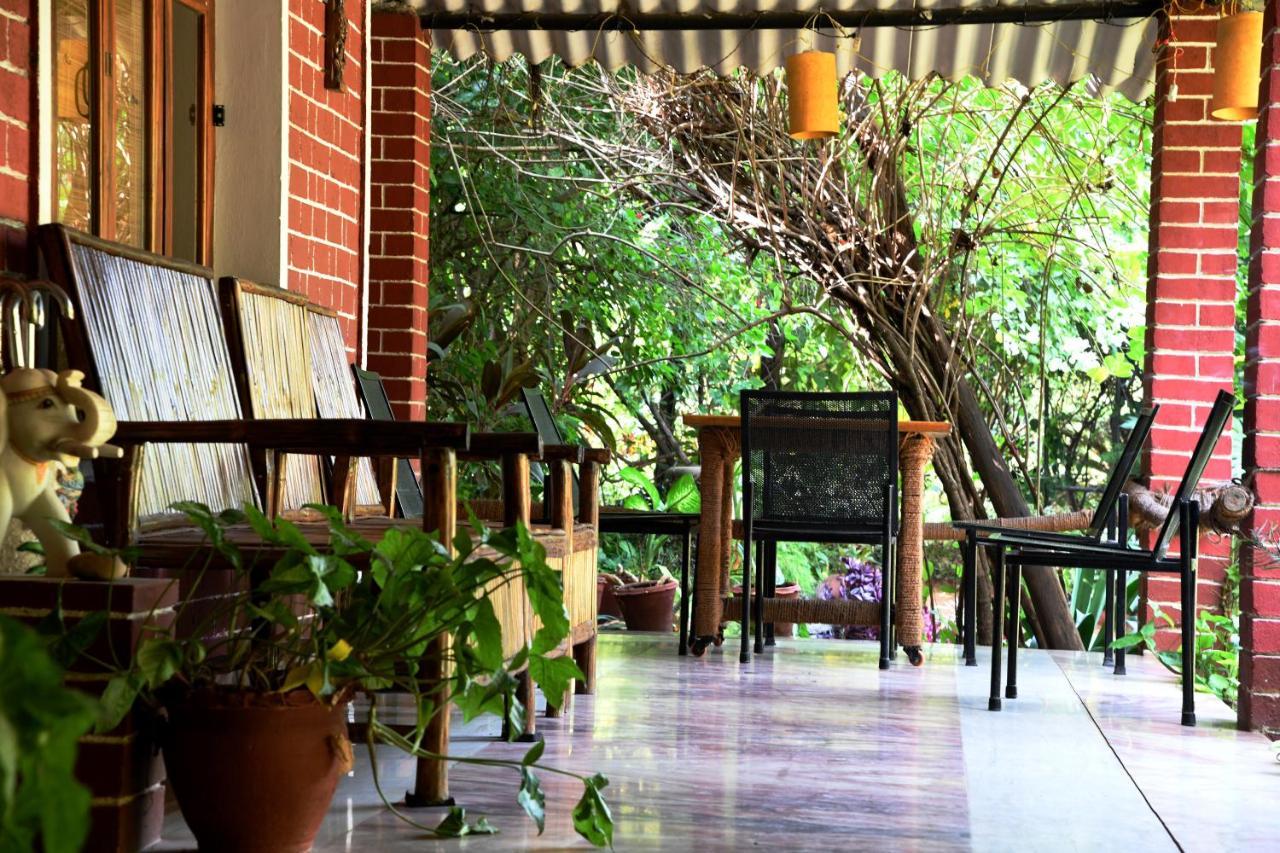 Baaz Jungle Resort Khawāsa Exterior foto