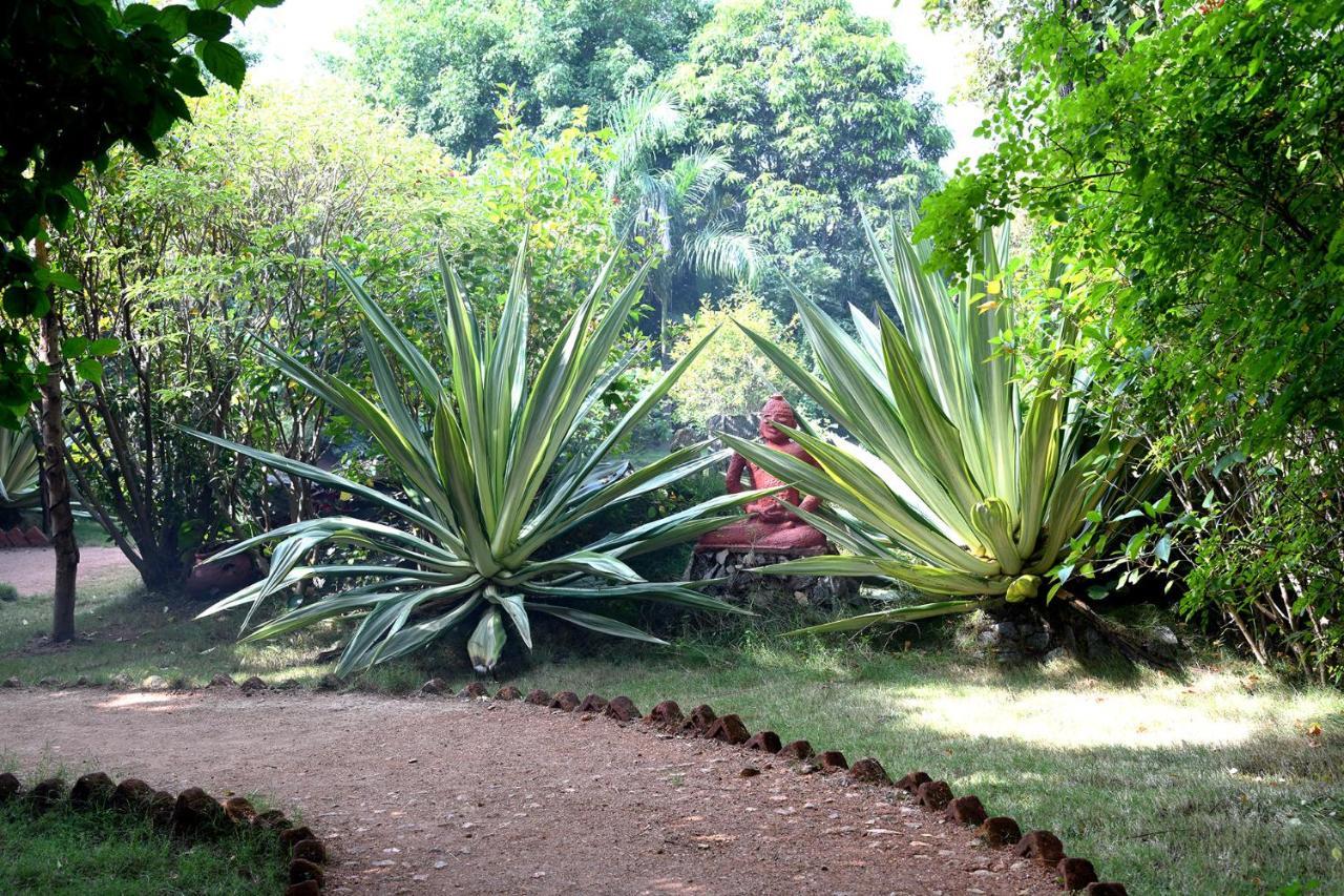 Baaz Jungle Resort Khawāsa Exterior foto